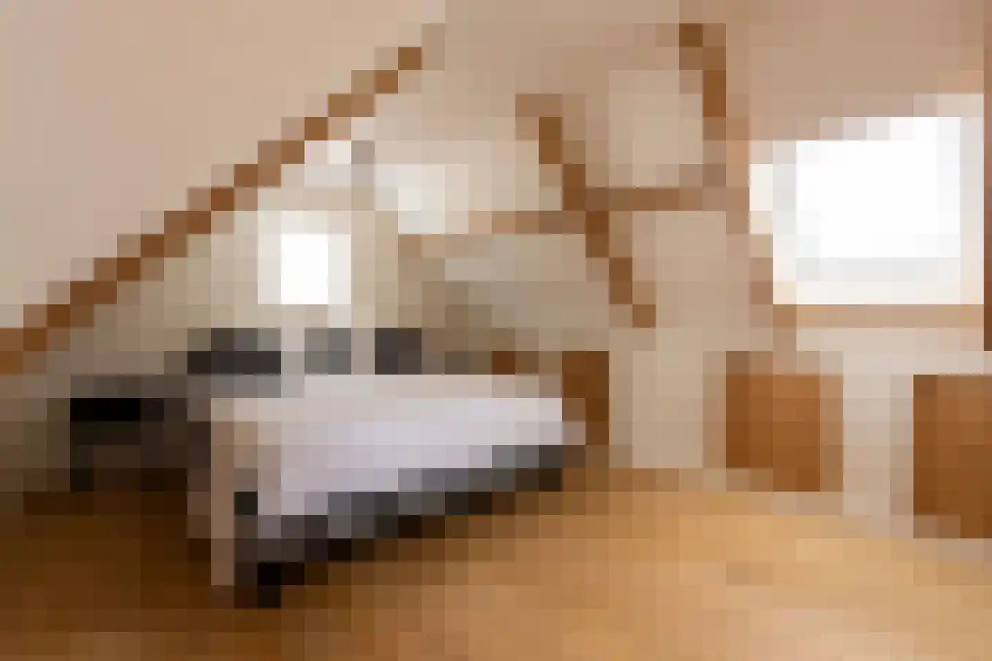 Nieuwstraat 147 Gilze thumbnail 25