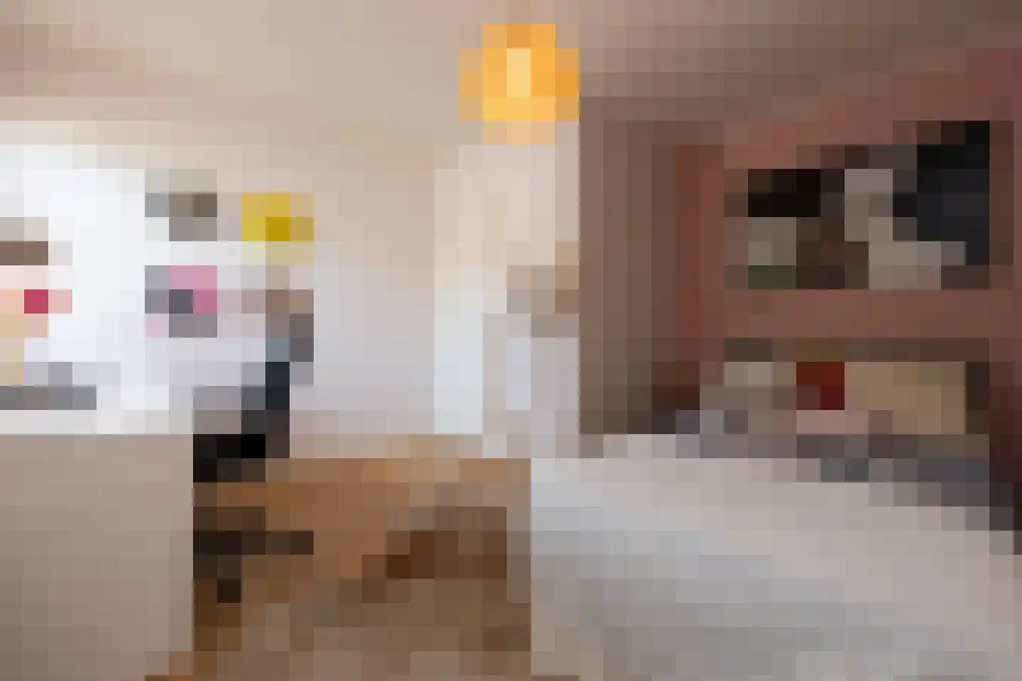 Nieuwstraat 147 Gilze thumbnail 33