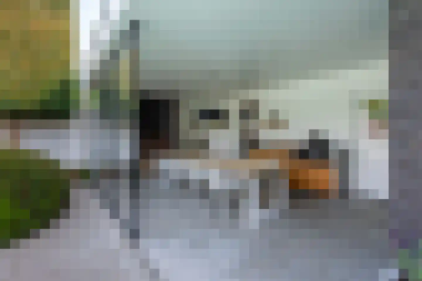 Nieuwstraat 147 Gilze thumbnail 42