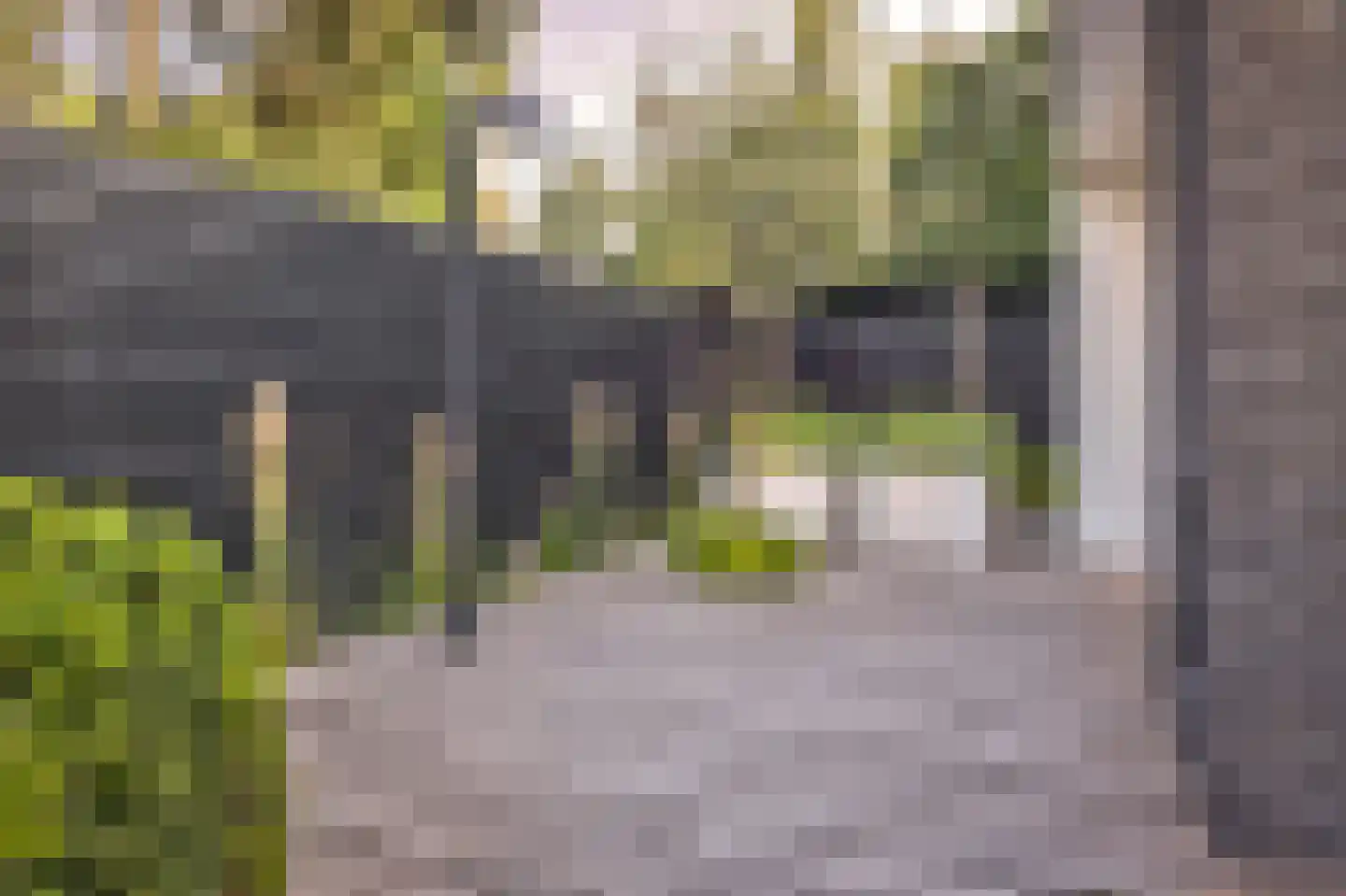 Nieuwstraat 147 Gilze thumbnail 52