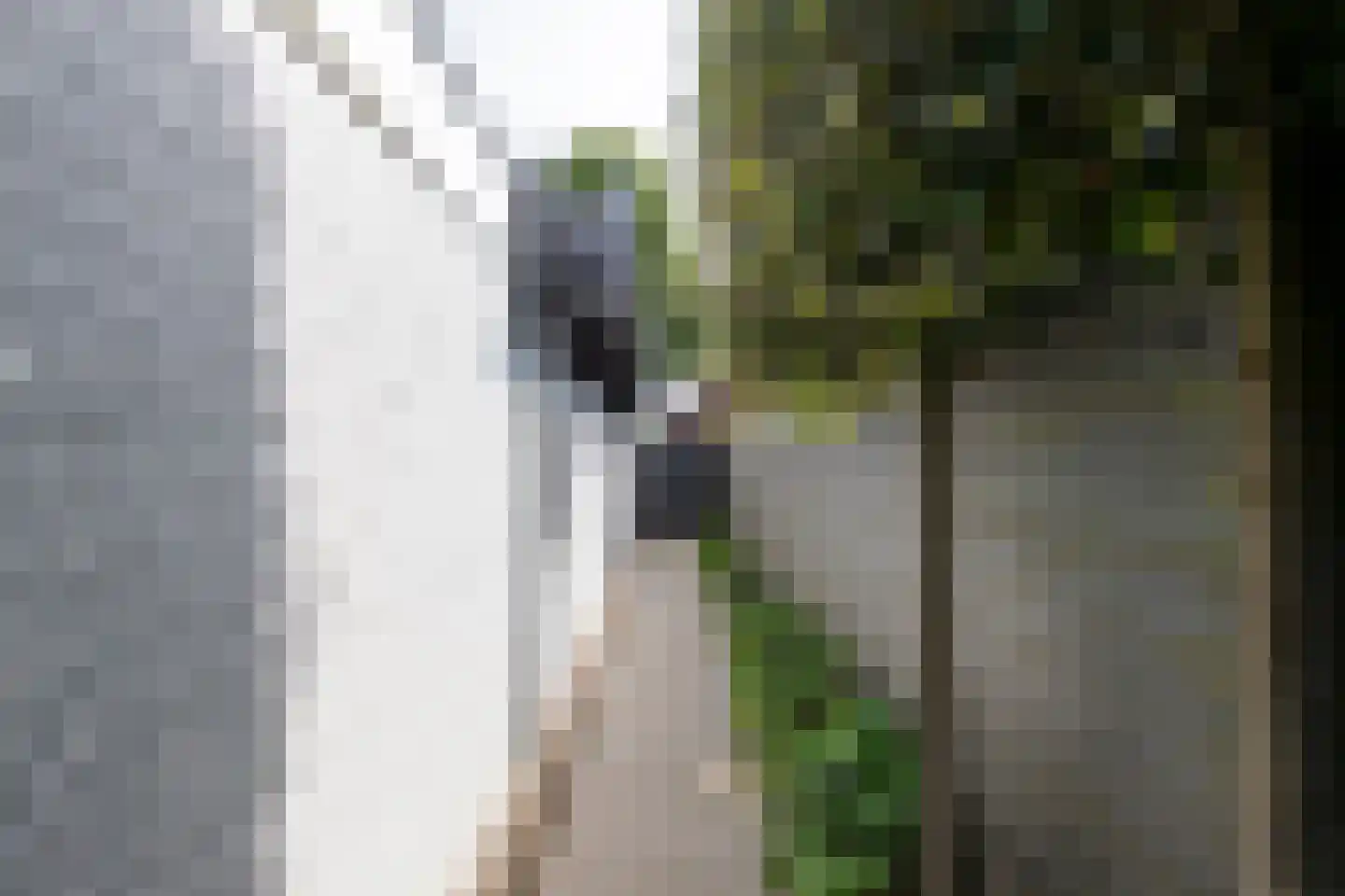 Nieuwstraat 147 Gilze thumbnail 57
