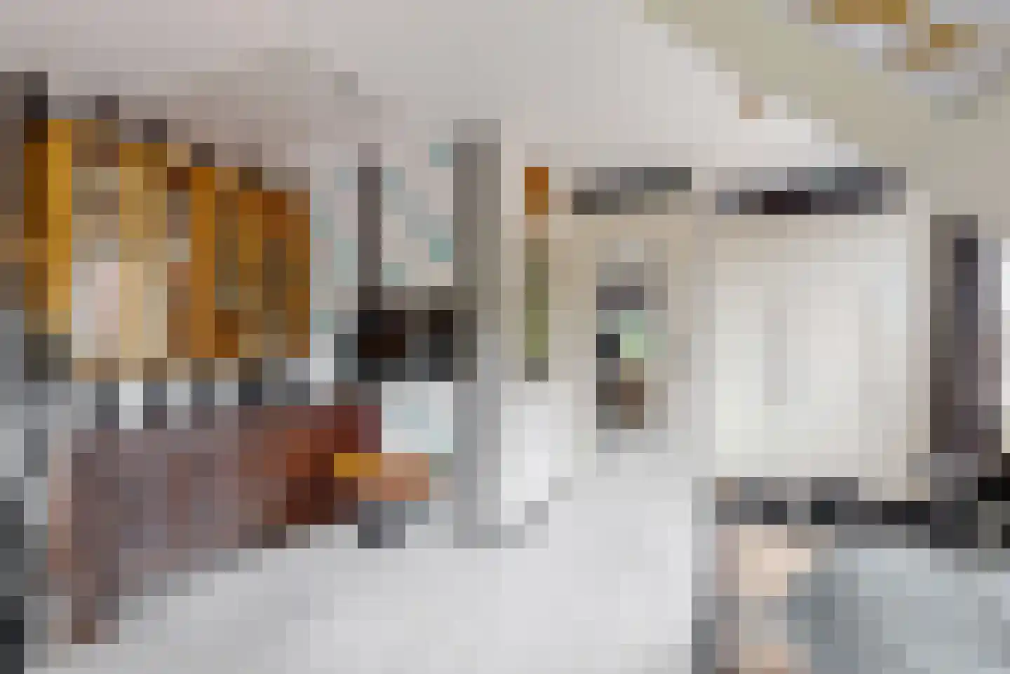 Nieuwstraat 15 B Wervershoof thumbnail 20