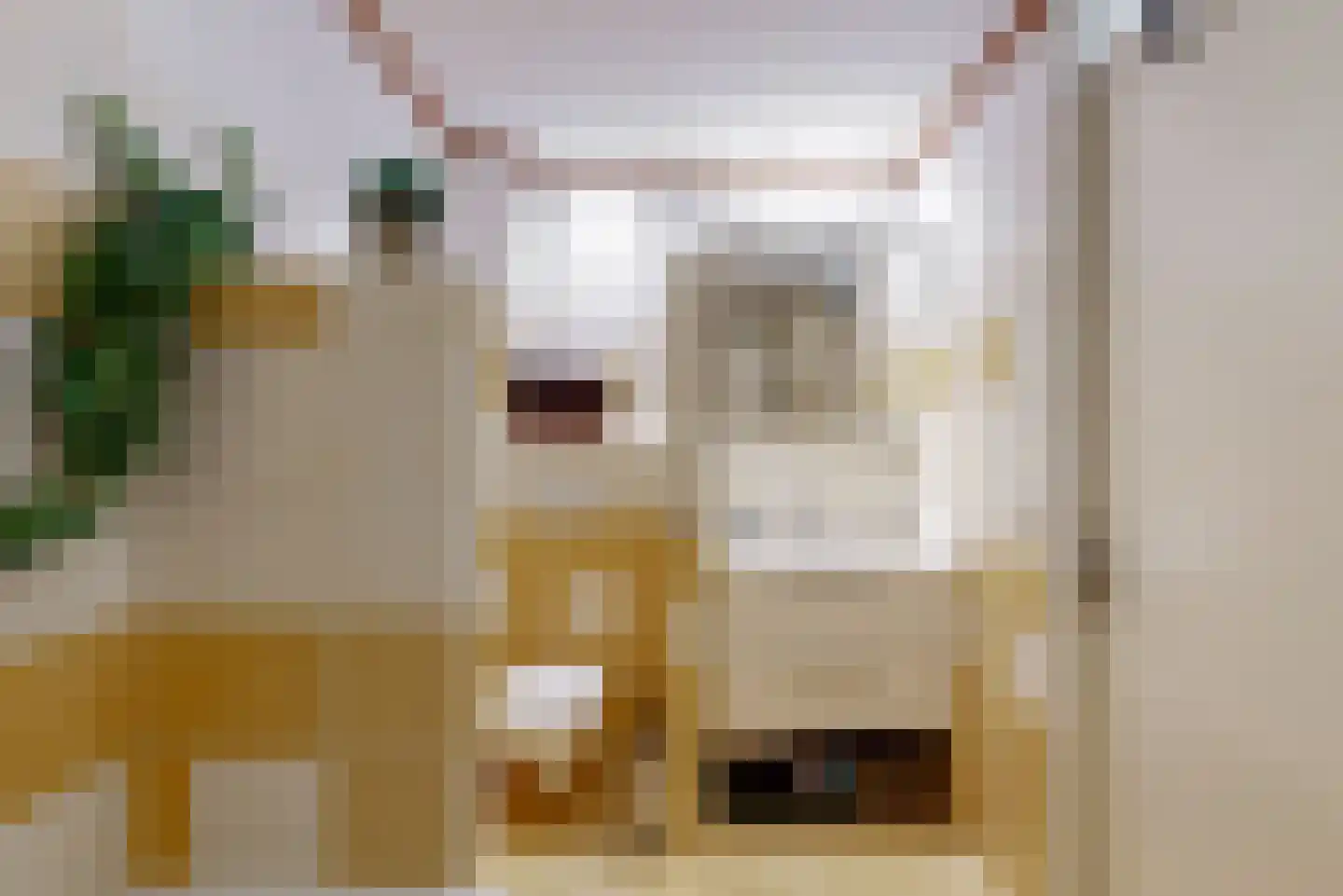 Nieuwstraat 15 B Wervershoof thumbnail 23