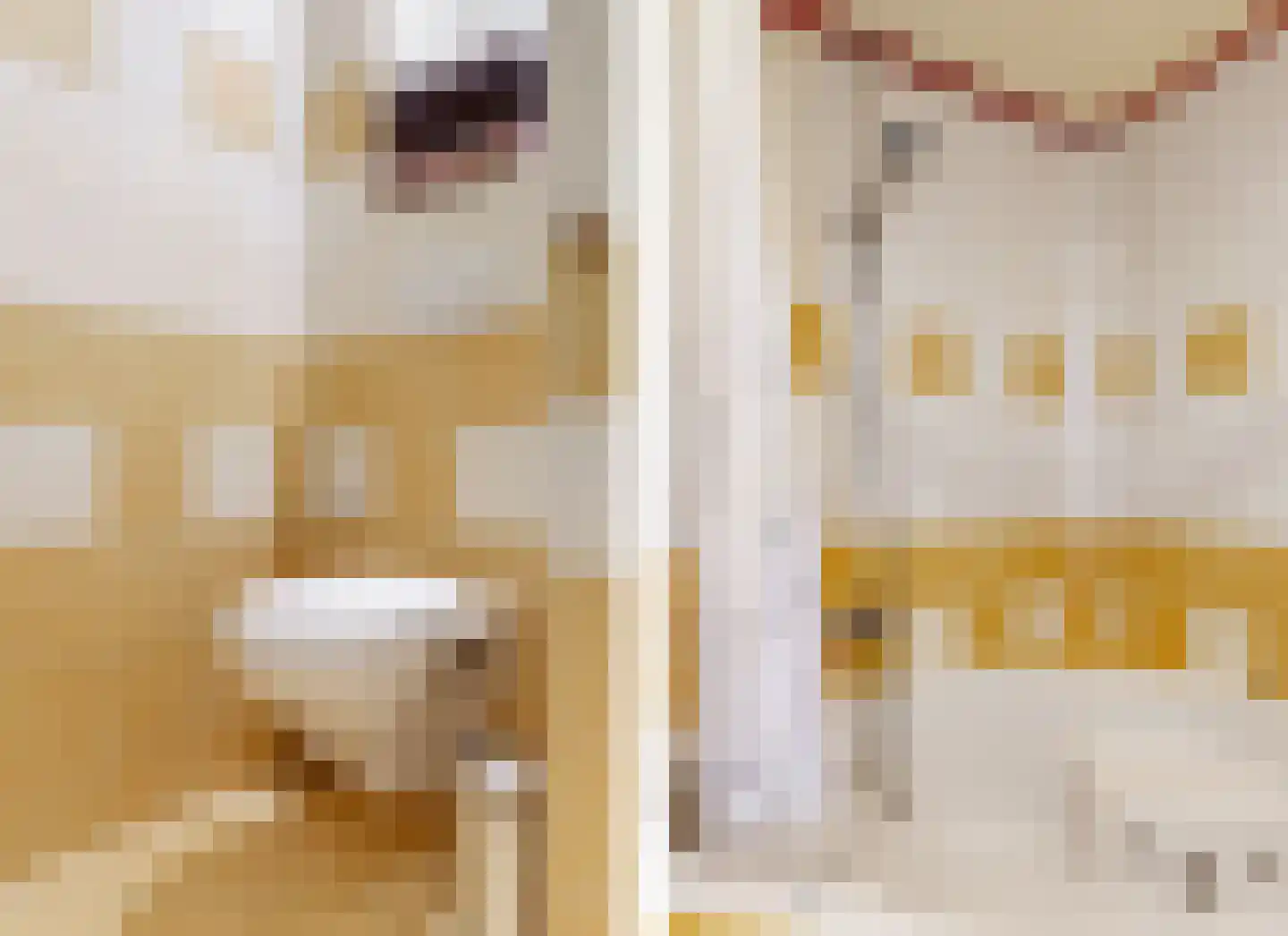 Nieuwstraat 15 B Wervershoof thumbnail 24