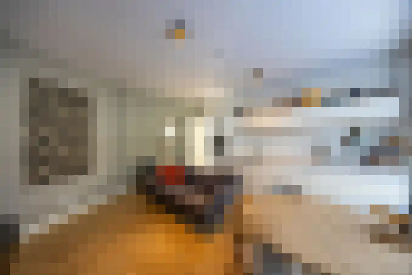 Nieuwstraat 15 Bussum thumbnail 10
