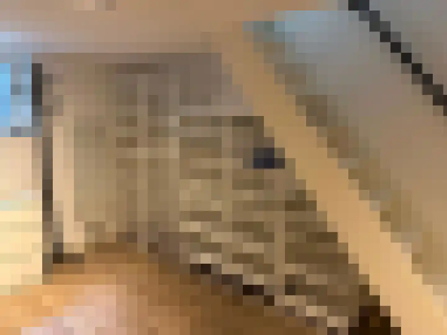 Nieuwstraat 15 Bussum thumbnail 16