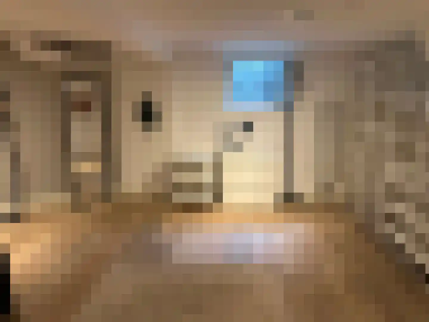 Nieuwstraat 15 Bussum thumbnail 17