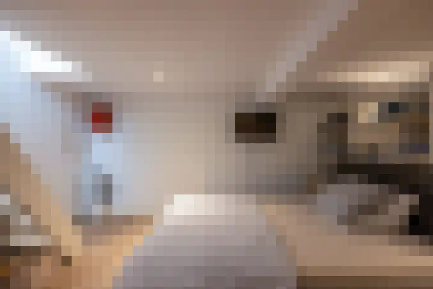 Nieuwstraat 15 Bussum thumbnail 20