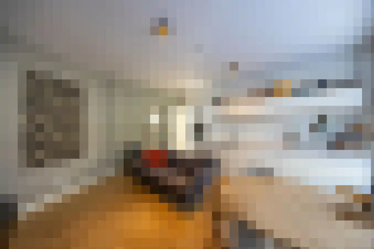 Nieuwstraat 15 Bussum thumbnail 9
