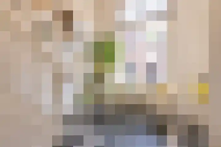 Nieuwstraat 15 Doesburg thumbnail 10