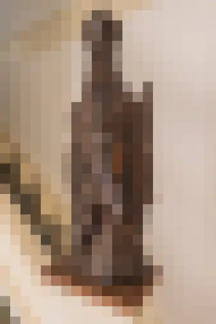 Nieuwstraat 15 Doesburg thumbnail 13