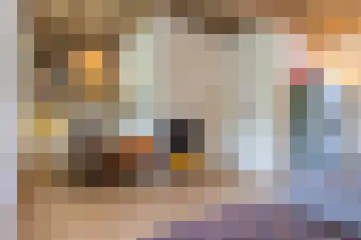 Nieuwstraat 15 Doesburg thumbnail 20