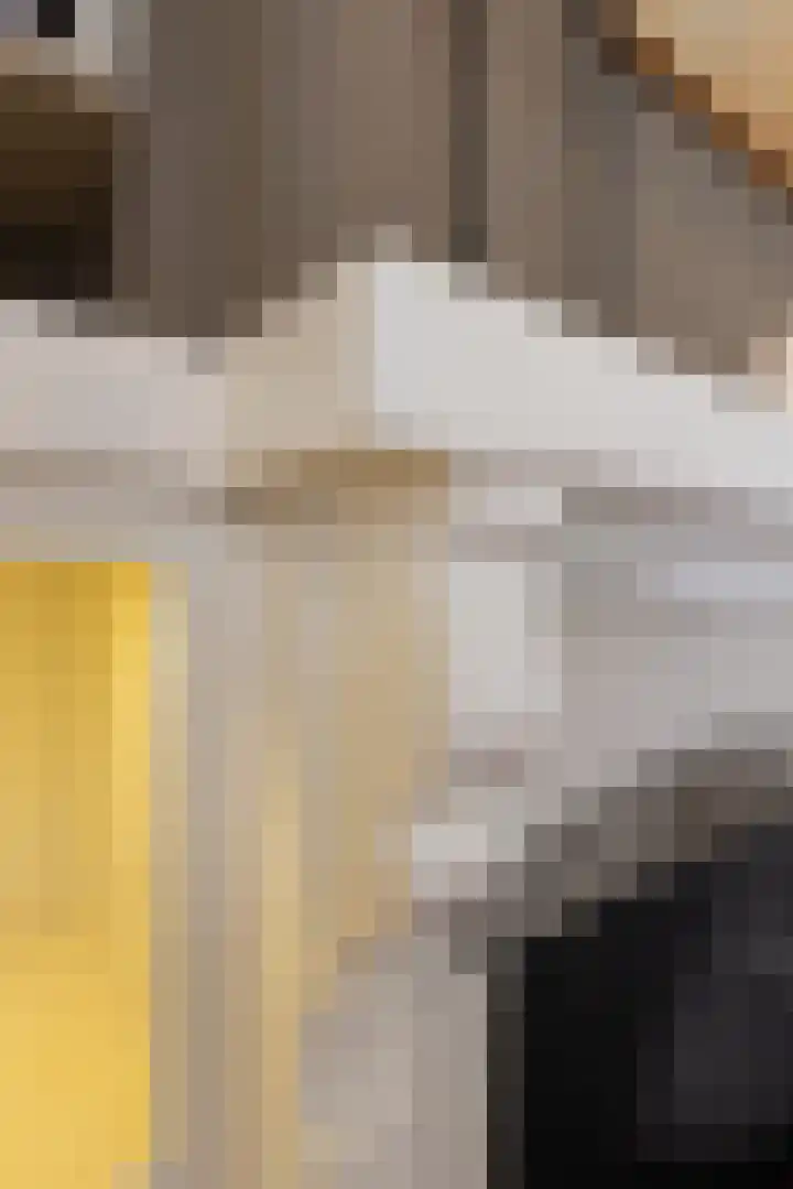 Nieuwstraat 15 Doesburg thumbnail 23