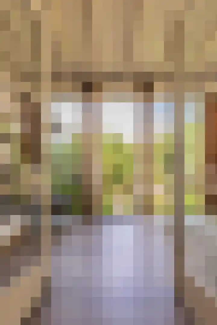Nieuwstraat 15 Doesburg thumbnail 31