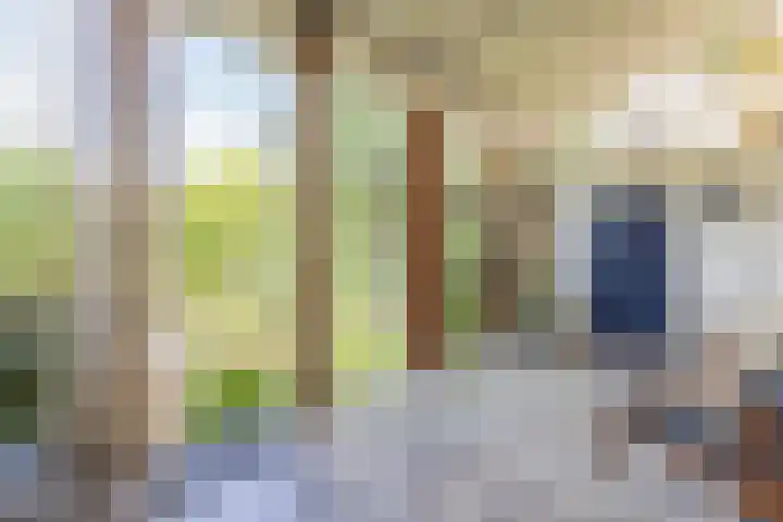 Nieuwstraat 15 Doesburg thumbnail 32