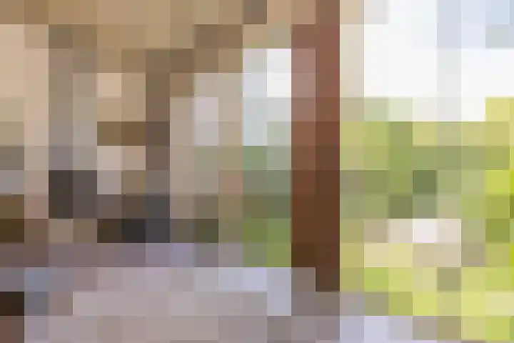 Nieuwstraat 15 Doesburg thumbnail 35