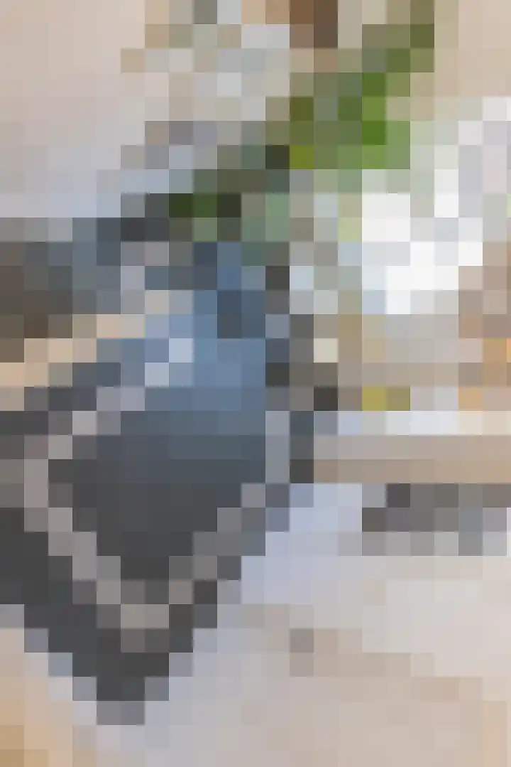 Nieuwstraat 15 Doesburg thumbnail 41