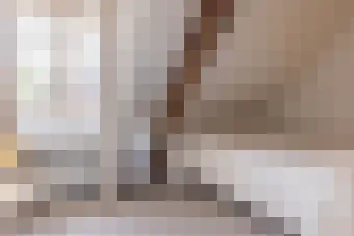 Nieuwstraat 15 Doesburg thumbnail 44