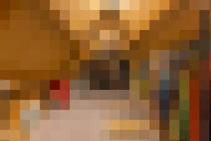 Nieuwstraat 15 Doesburg thumbnail 53