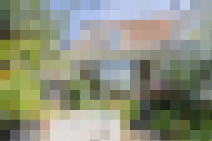 Nieuwstraat 15 Doesburg thumbnail 55