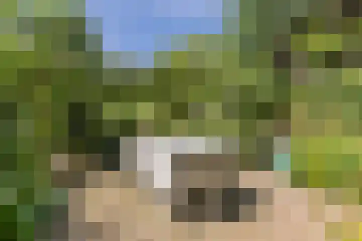 Nieuwstraat 15 Doesburg thumbnail 57