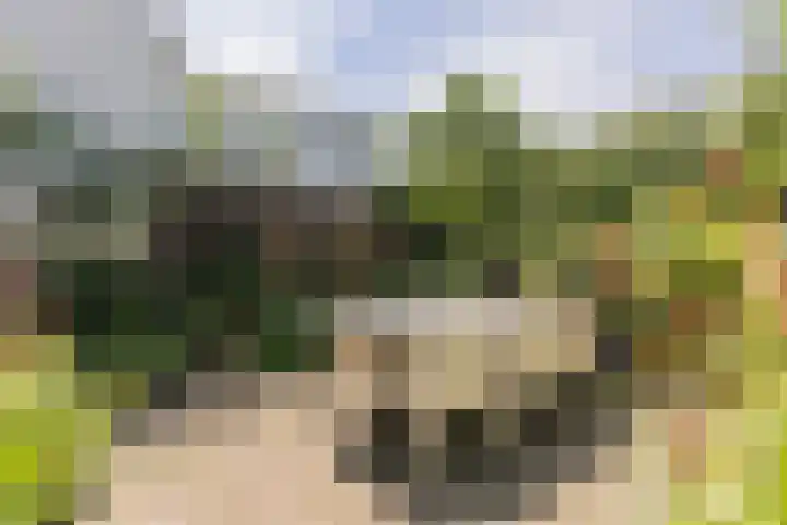 Nieuwstraat 15 Doesburg thumbnail 58