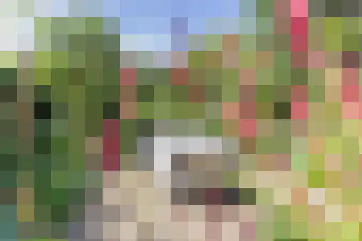 Nieuwstraat 15 Doesburg thumbnail 59