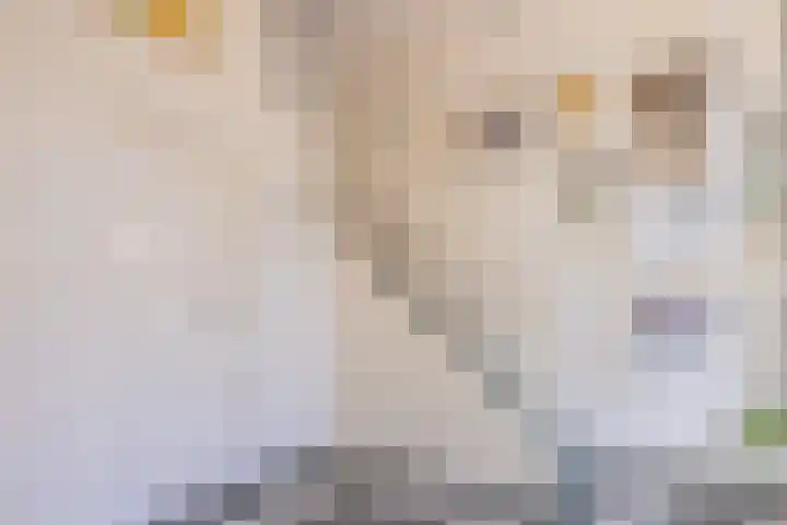Nieuwstraat 15 Doesburg thumbnail 9