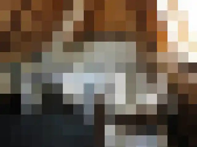 Nieuwstraat 15 Leiden thumbnail 5