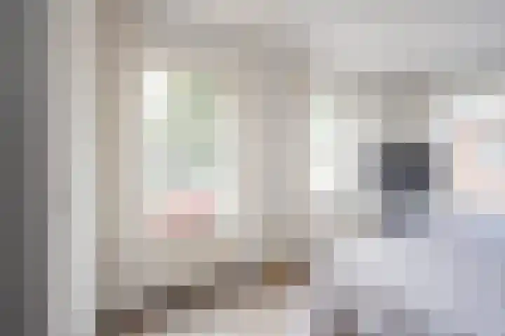 Nieuwstraat 15 Nijkerk thumbnail 17