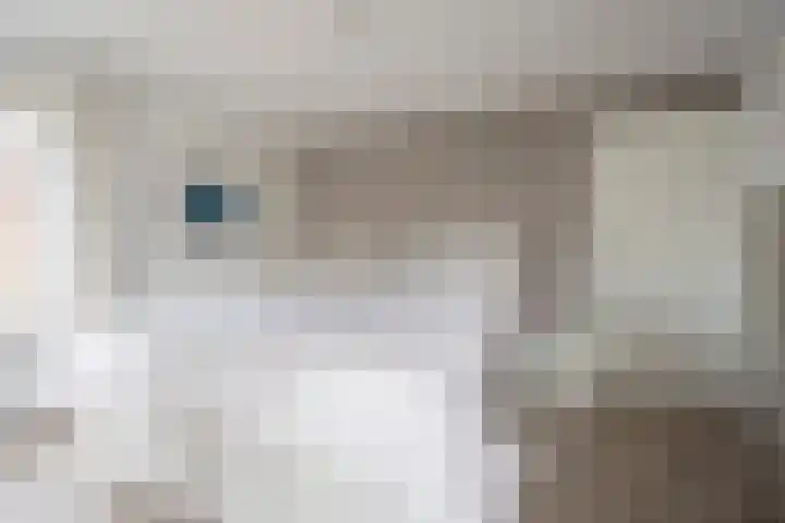 Nieuwstraat 15 Nijkerk thumbnail 18