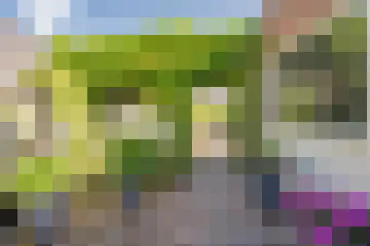 Nieuwstraat 15 Nijkerk thumbnail 29