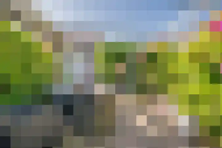 Nieuwstraat 15 Nijkerk thumbnail 31