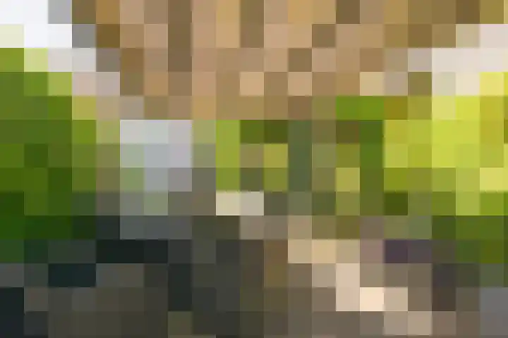 Nieuwstraat 15 Nijkerk thumbnail 33