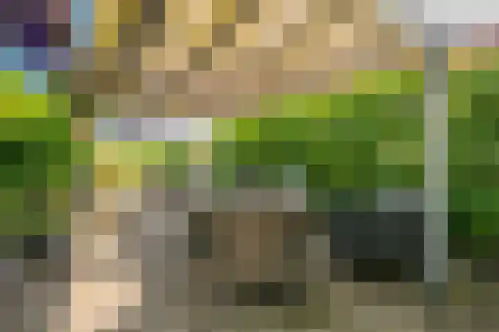 Nieuwstraat 15 Nijkerk thumbnail 34