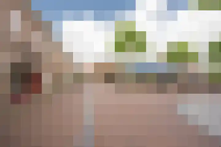 Nieuwstraat 15 Nijkerk thumbnail 41