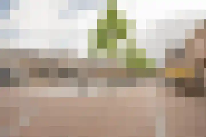 Nieuwstraat 15 Nijkerk thumbnail 42