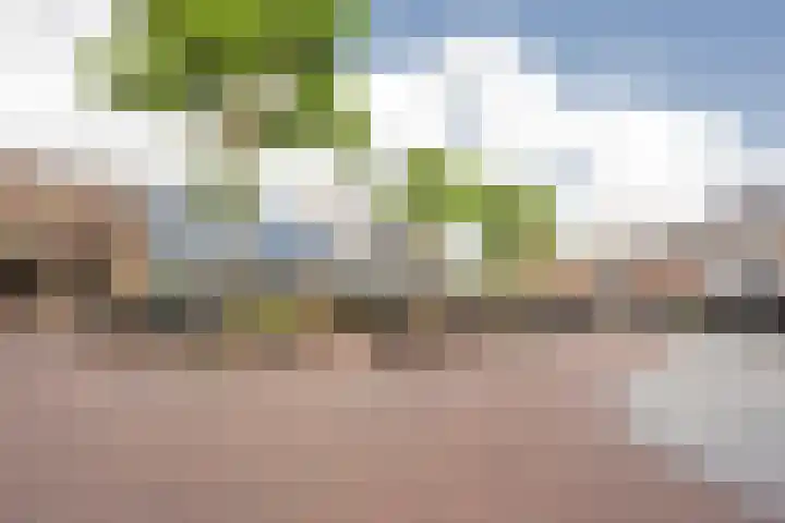 Nieuwstraat 15 Nijkerk thumbnail 44