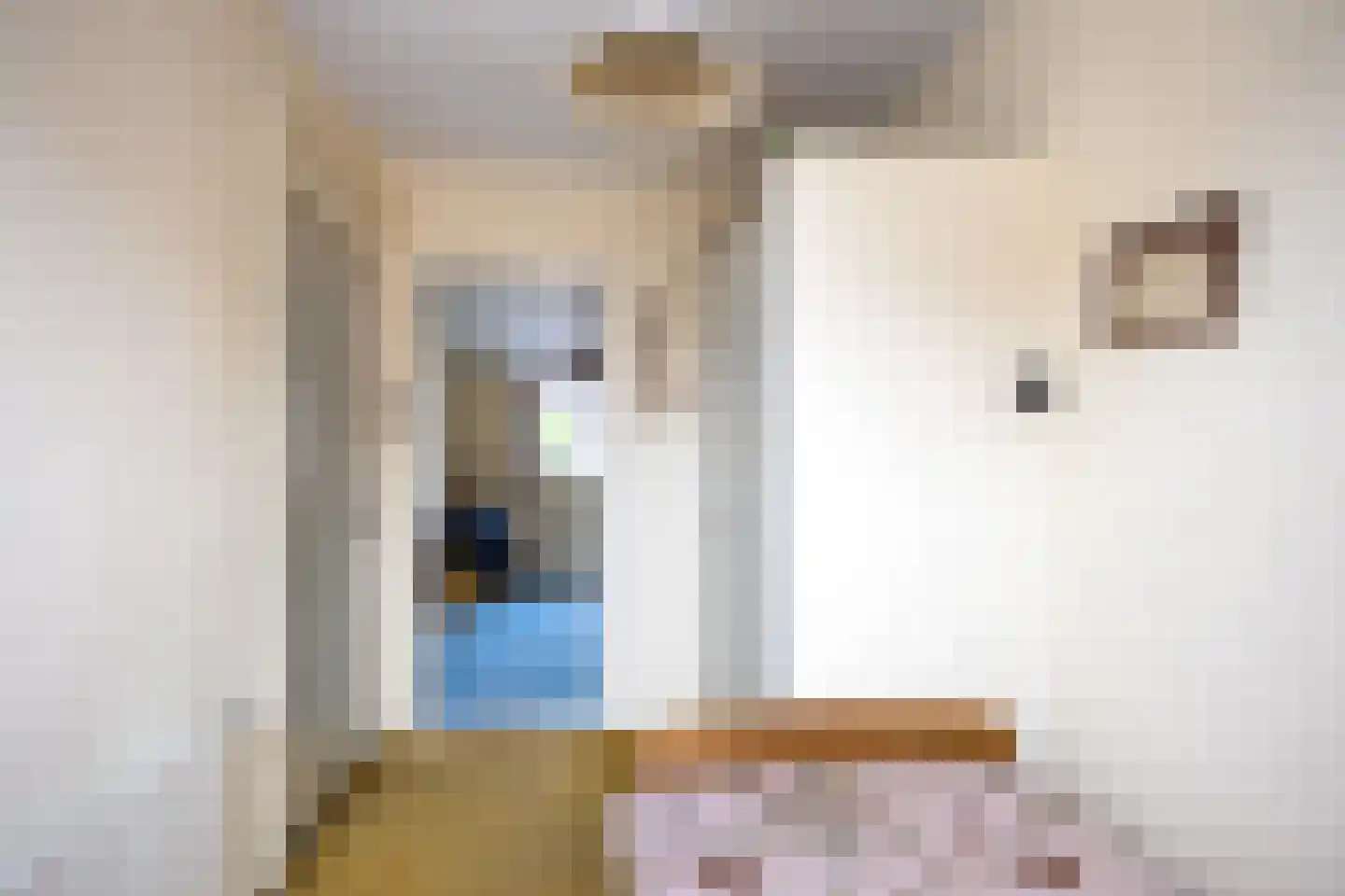 Nieuwstraat 15 Noordwolde thumbnail 34