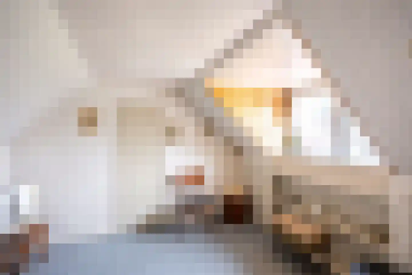 Nieuwstraat 15 Noordwolde thumbnail 37