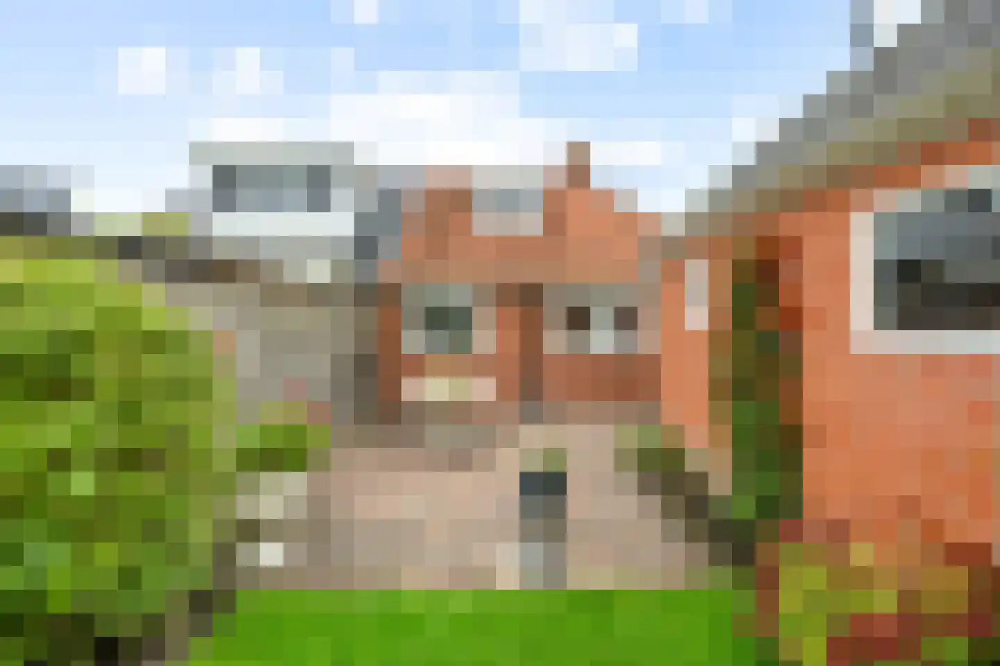 Nieuwstraat 15 Noordwolde thumbnail 51