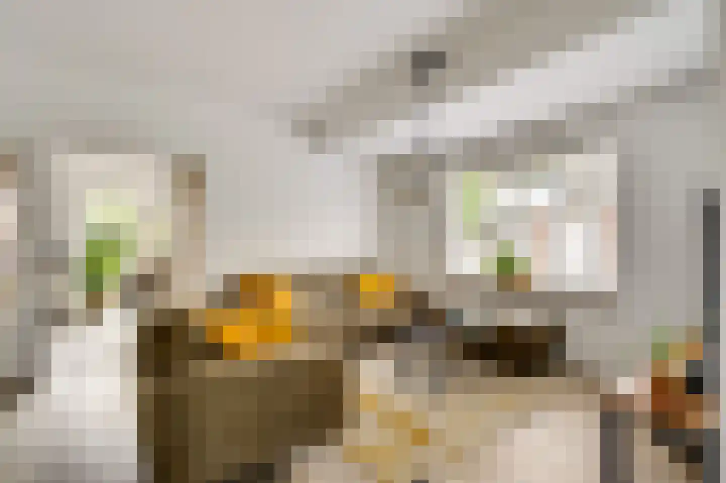 Nieuwstraat 15 Weert thumbnail 13