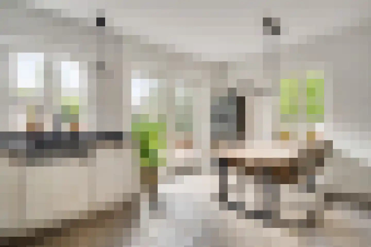 Nieuwstraat 15 Weert thumbnail 17
