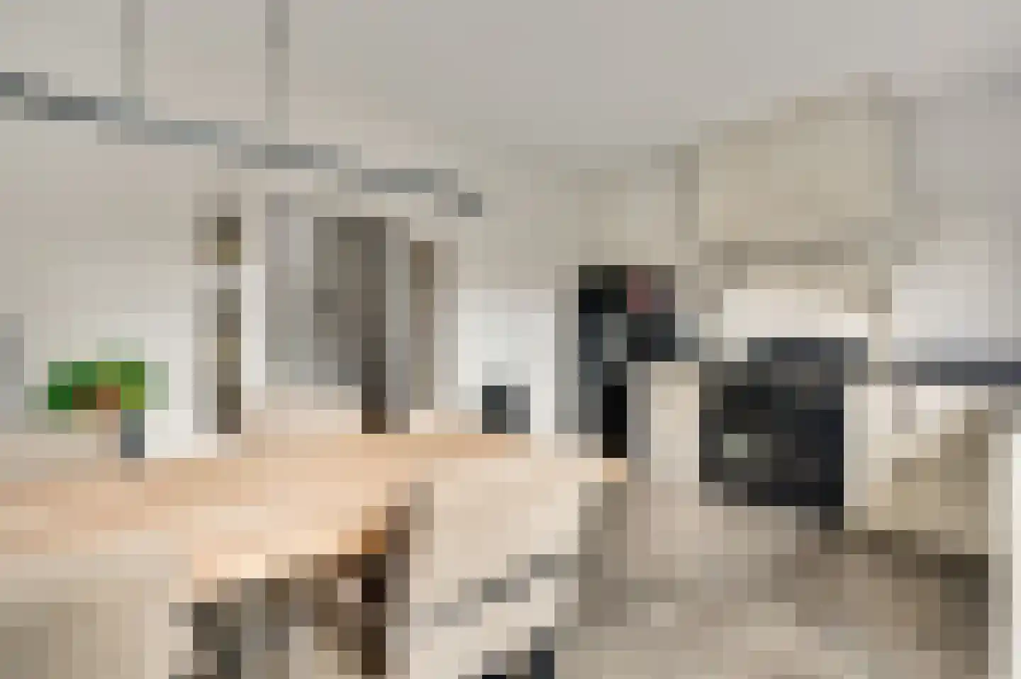 Nieuwstraat 15 Weert thumbnail 19