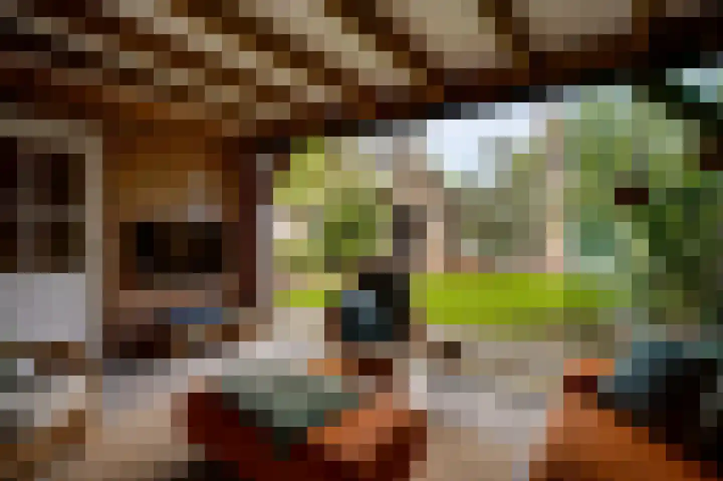 Nieuwstraat 15 Weert thumbnail 39