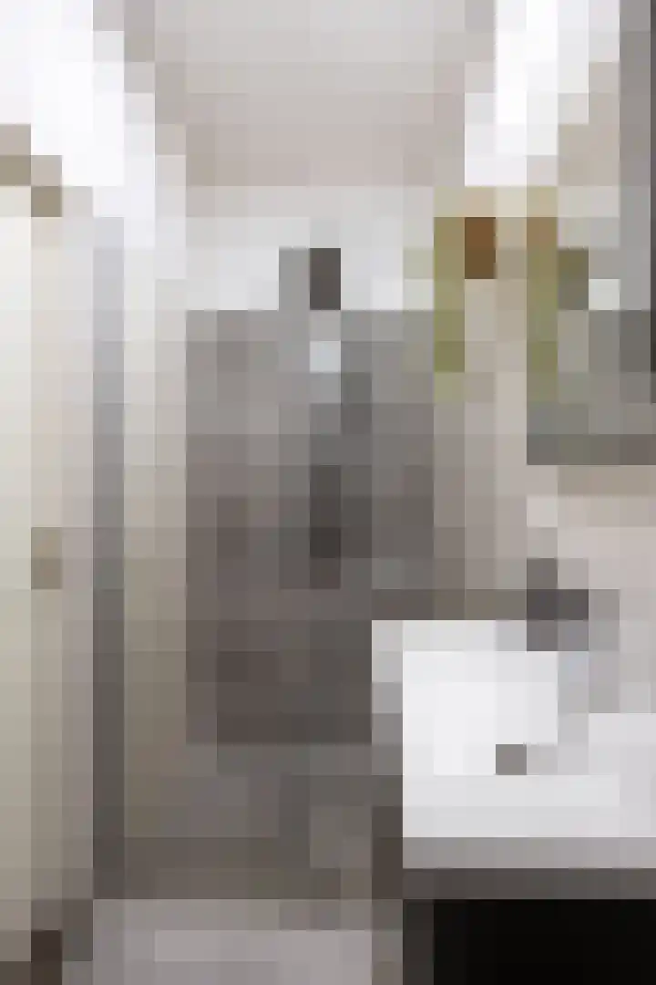 Nieuwstraat 15 Zuidhorn thumbnail 24