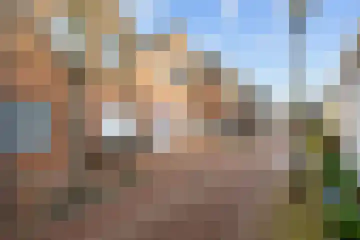 Nieuwstraat 15 Zuidhorn thumbnail 8