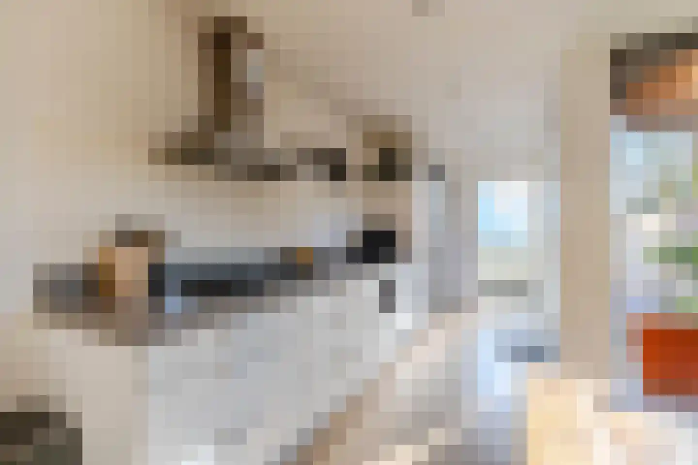 Nieuwstraat 156 Tilburg thumbnail 10