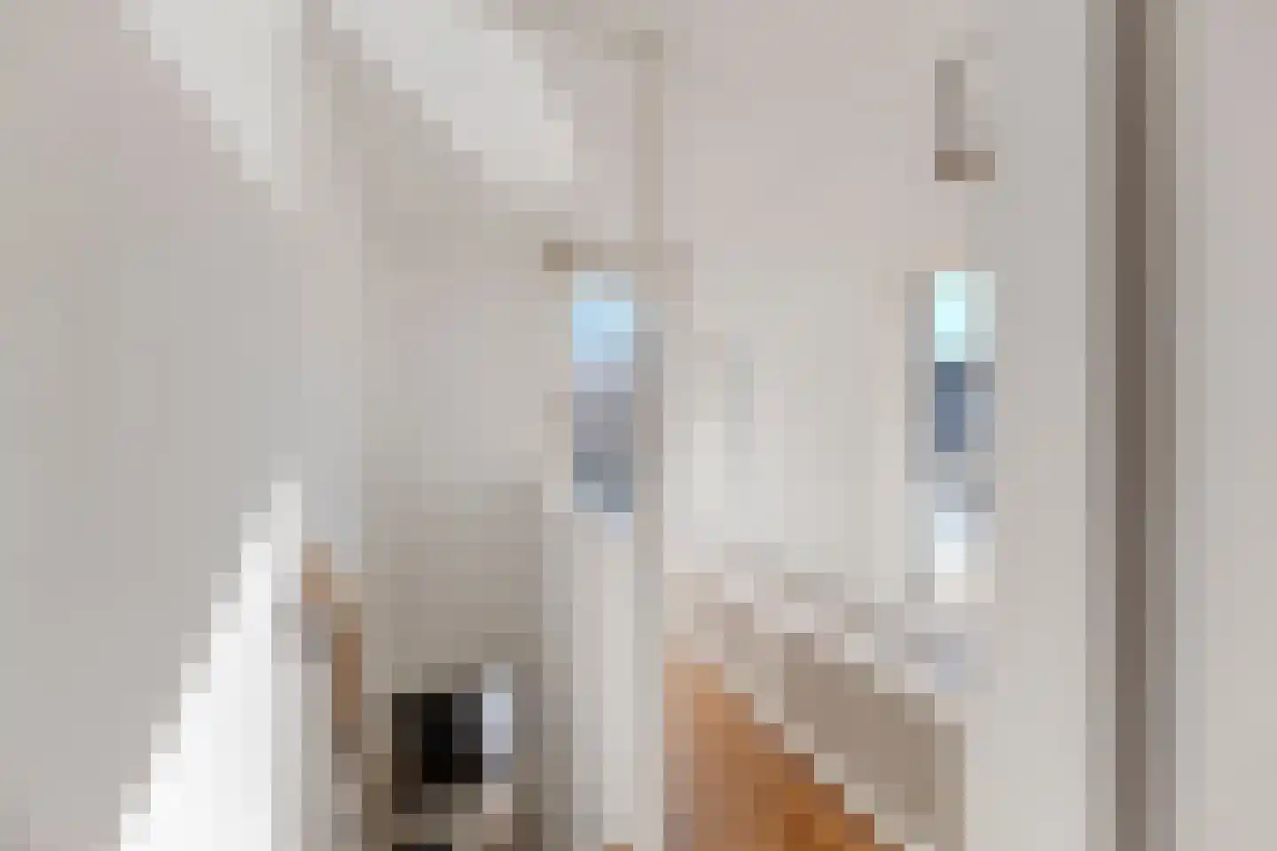 Nieuwstraat 156 Tilburg thumbnail 19