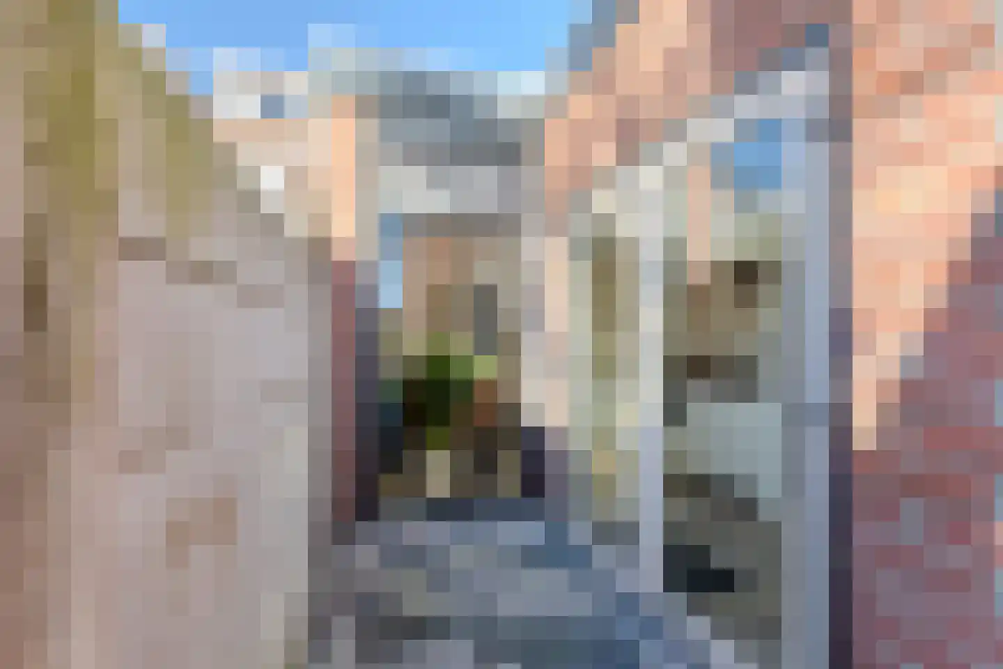 Nieuwstraat 156 Tilburg thumbnail 29